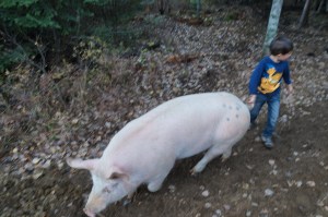 Rôti à son meilleur